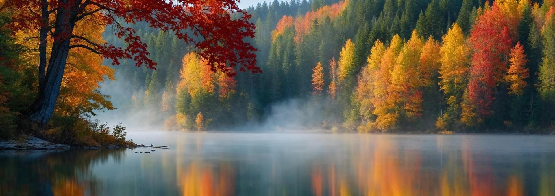 LICHT - SAUERSTOFF - WASSER